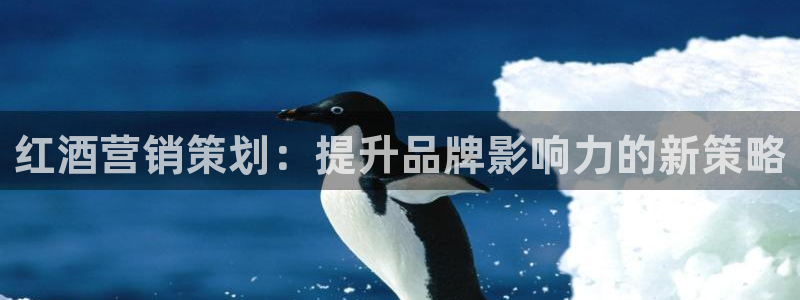 必赢88
