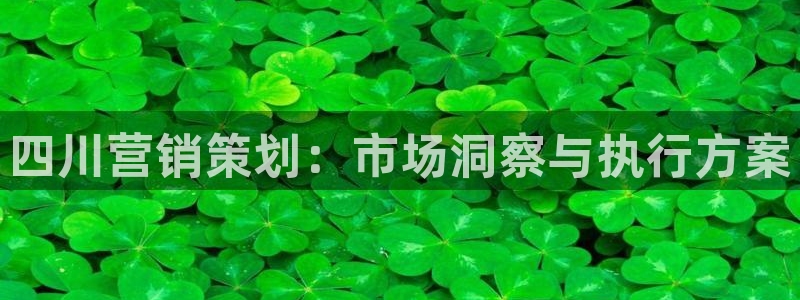 必赢最新