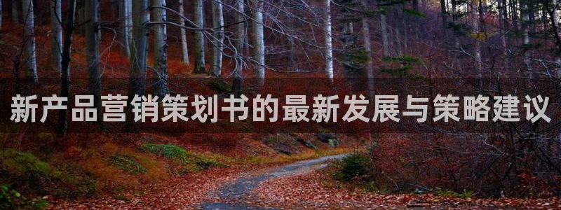 必赢集团怎么样