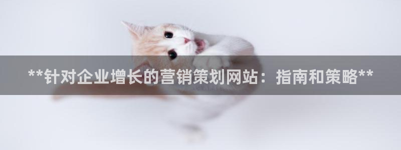 必赢网站是哪一个公司的