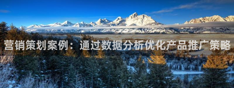 必赢手机app下载 最新版安装