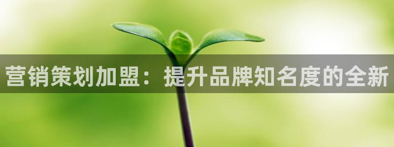 必赢棋9.655