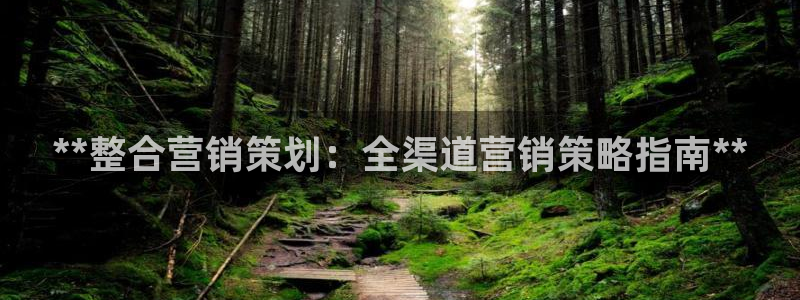 必赢网址