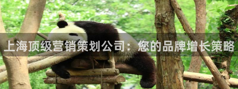 必赢平台网站多少