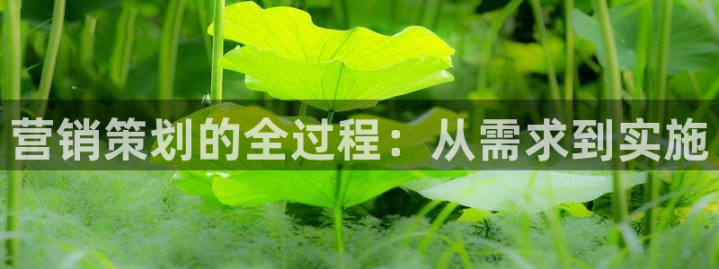 必赢网站mg冰球突破豪华版