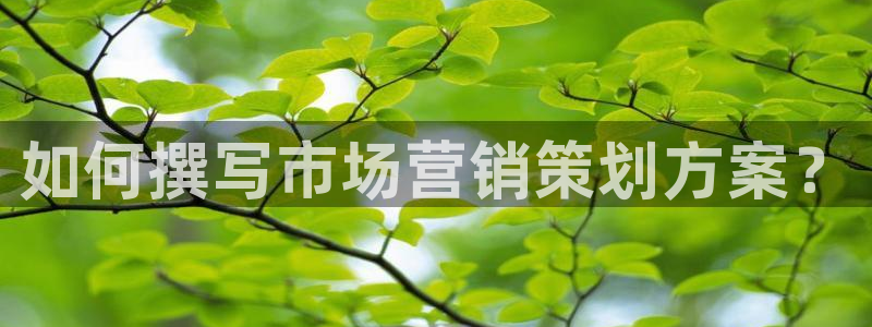 必赢亚赢网站官网下载安卓