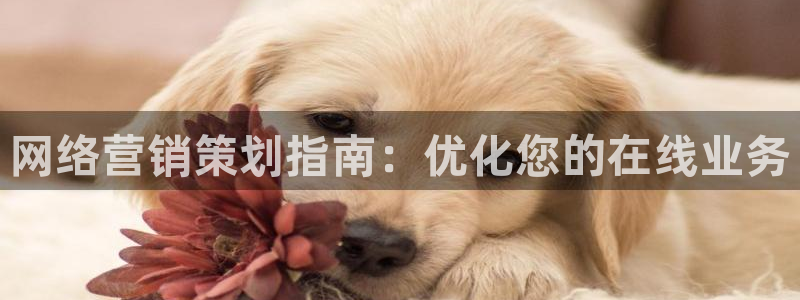 必赢3003+会员账号