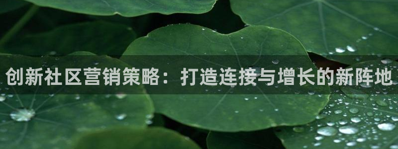 必赢官网下载安装app
