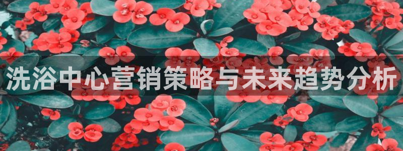 必赢8111e