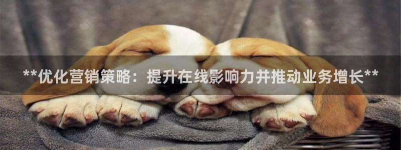 必赢下载官方