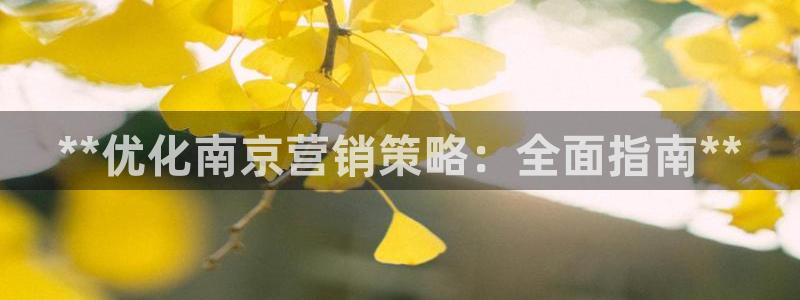 必赢集团网站是什么