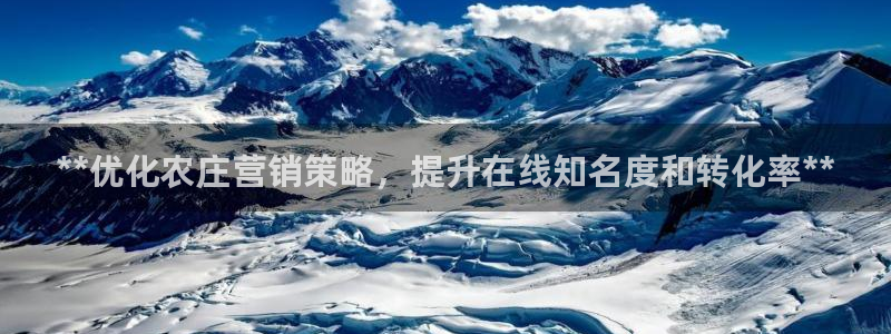 必赢app是干什么的