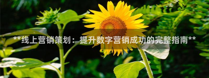 必赢国际软件下载