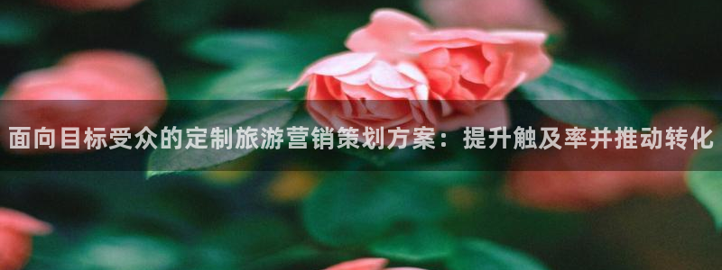必赢3003平台