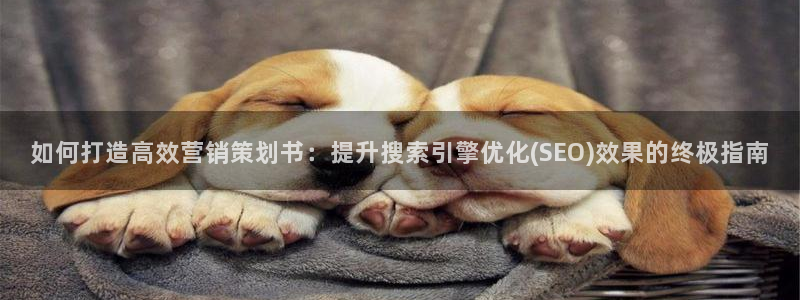 必赢这个平台怎么样