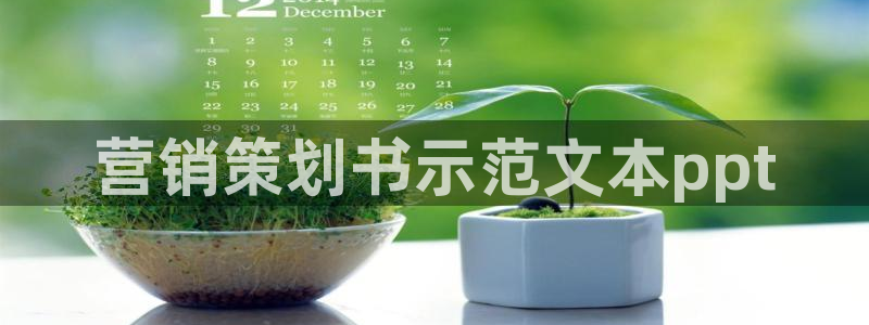 必赢app官方