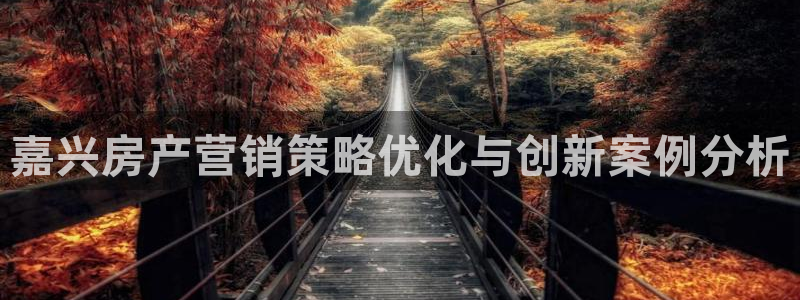 必赢手机app下载