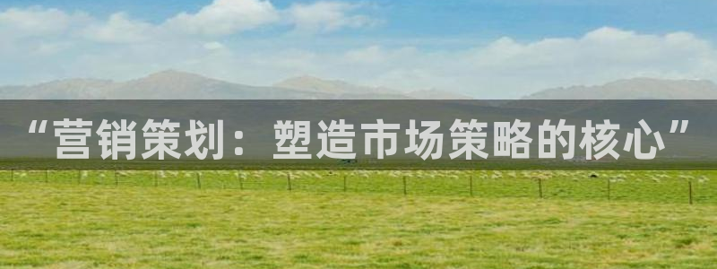 必赢app官方网站
