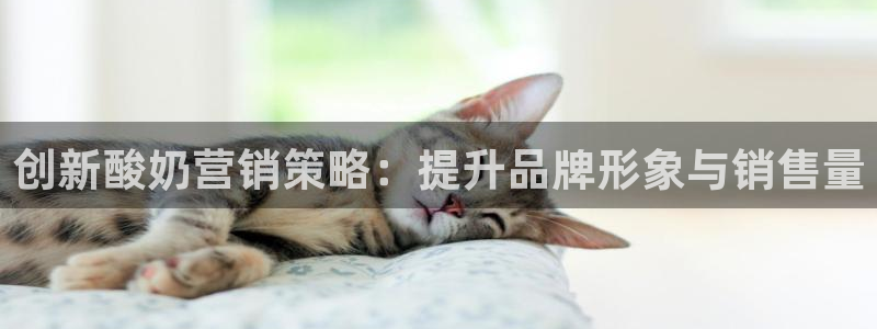 必赢官网app下载安装手机版