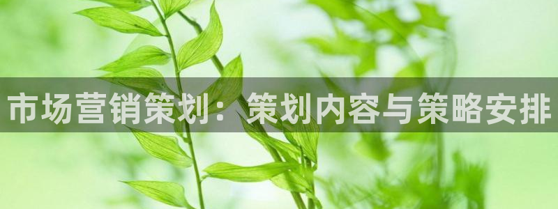 必赢国际437a