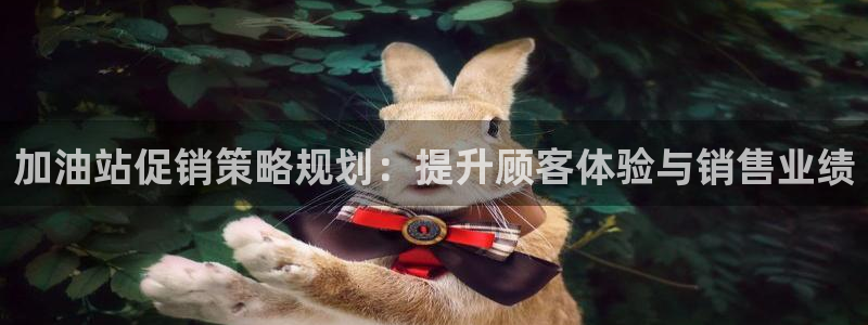必赢3003网官