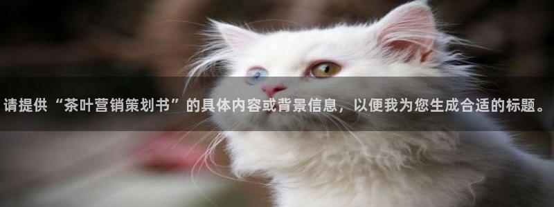 必赢565net官网网站
