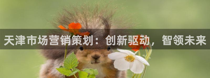 必赢资讯下载