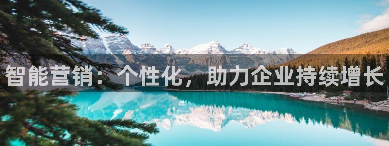 必赢8111e