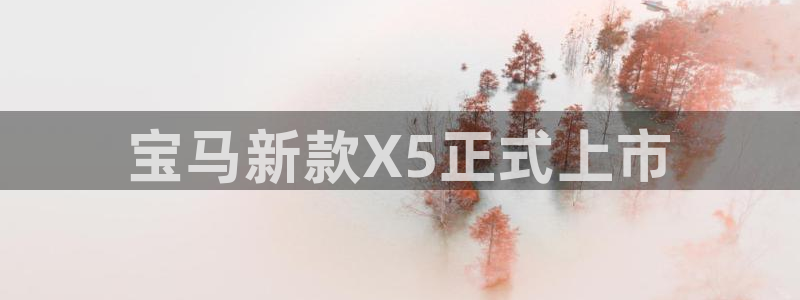 必赢app是干什么的