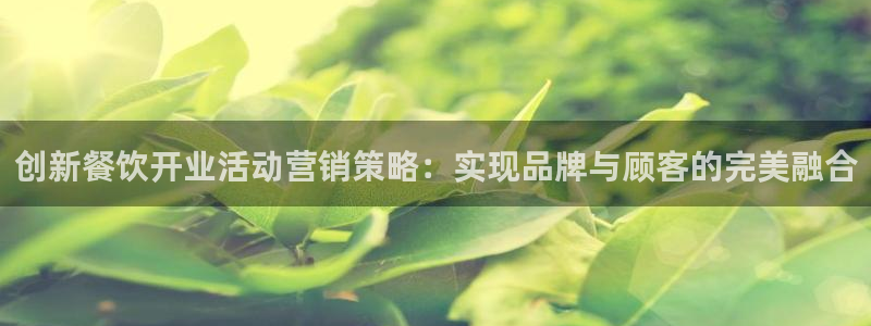 必赢88