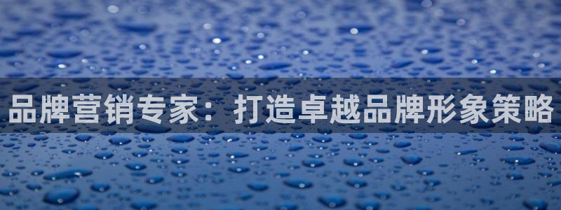 必赢亚赢网站官网下载安卓手机