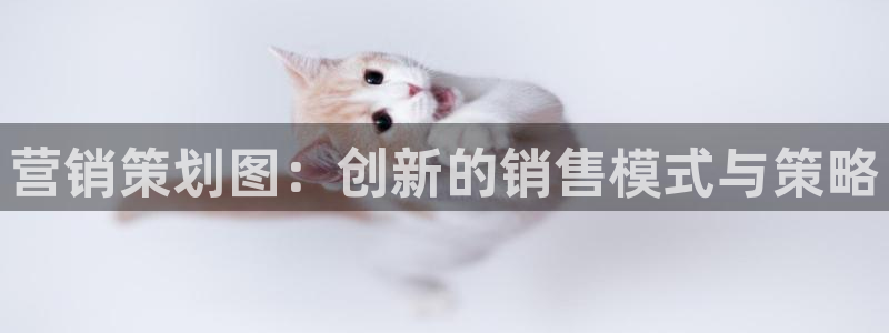 必赢平台怎么样知乎