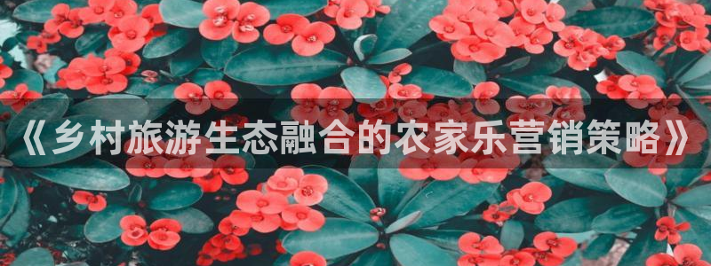 必赢565net官网网站