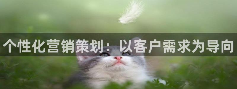 必赢手机app下载最新版安卓苹果可以用吗