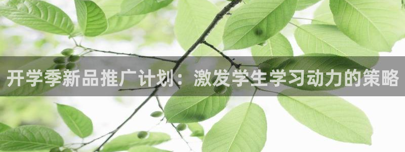 必赢7321取不出钱