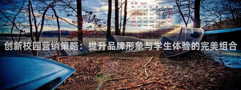 必赢官网网站入口下载