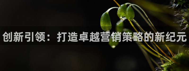 必赢下载安卓版