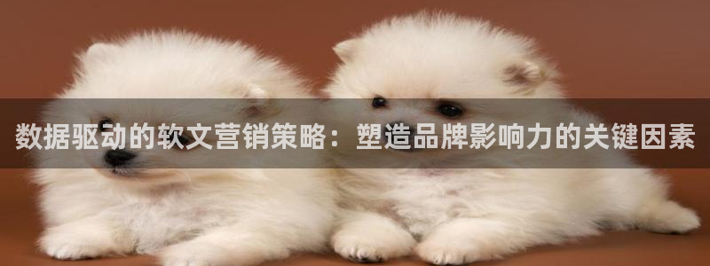 必赢国际网站合法吗