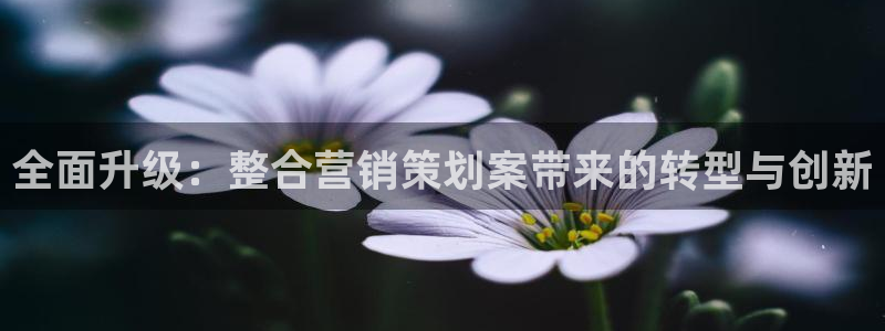 必赢下载安卓版：全面升级：整合