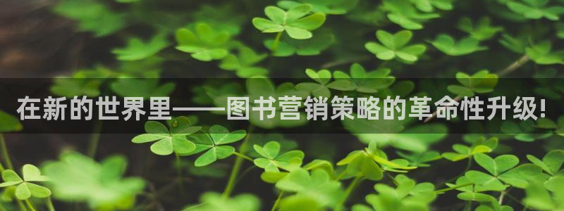 必赢最新消息：在新的世界里——