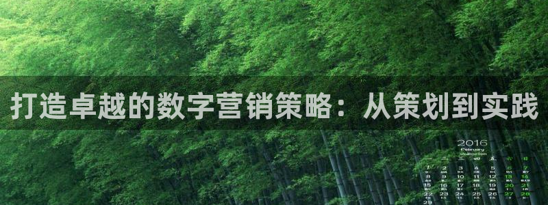 必赢手机app下载 最新版：打