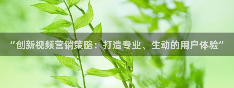 必赢3003+会员账号：“创新
