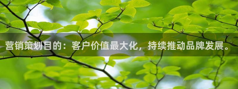 必赢官网网址多少号登录不了：营