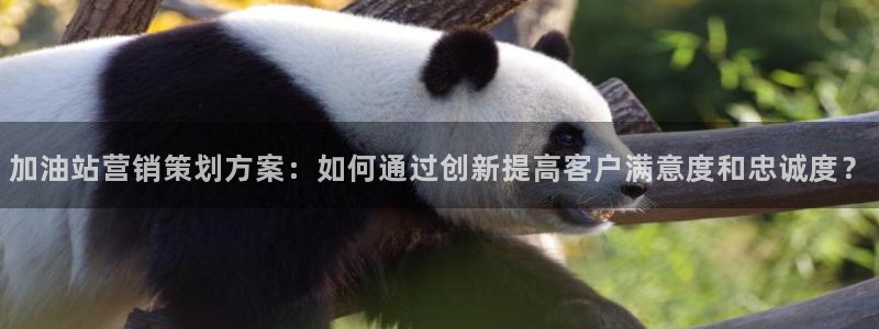 必赢国际的网站多少