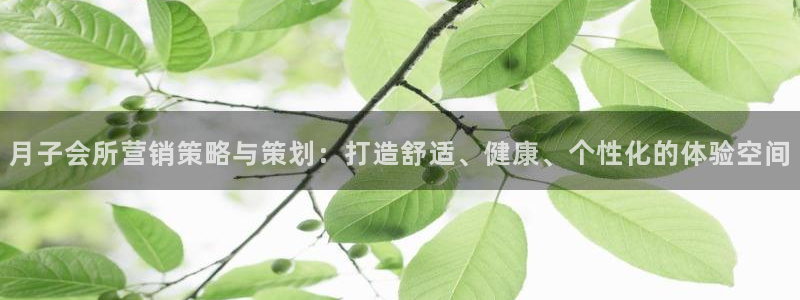 必赢网站是哪一个公司的：月子会
