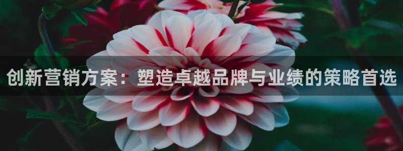 必赢科技北京有限公司