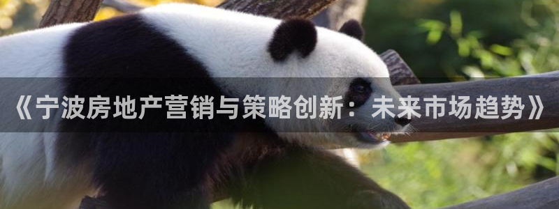 必赢官网app下载安装