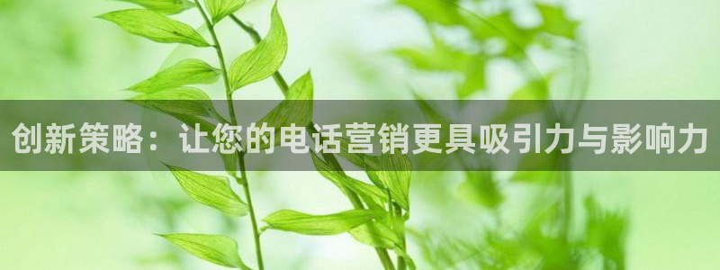 必赢7231