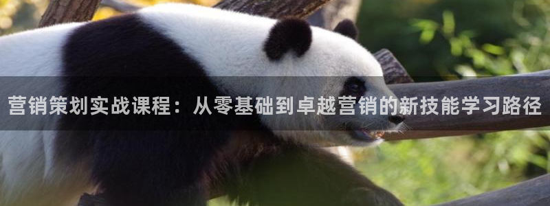 必赢3003网官