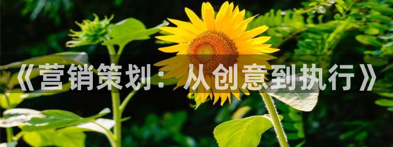必赢网站是哪一个平台